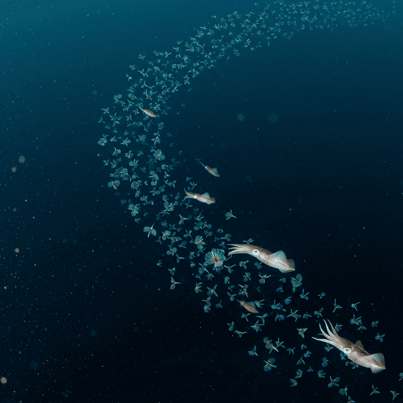 The Ocean&#8217;s Greatest Migration Happens Every Night: Trillions of Animals Travel Vertically