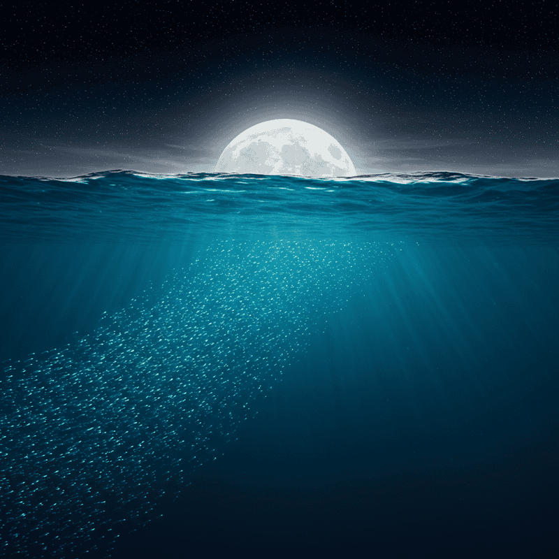 The Ocean&#8217;s Greatest Migration Happens Every Night: Trillions of Animals Travel Vertically