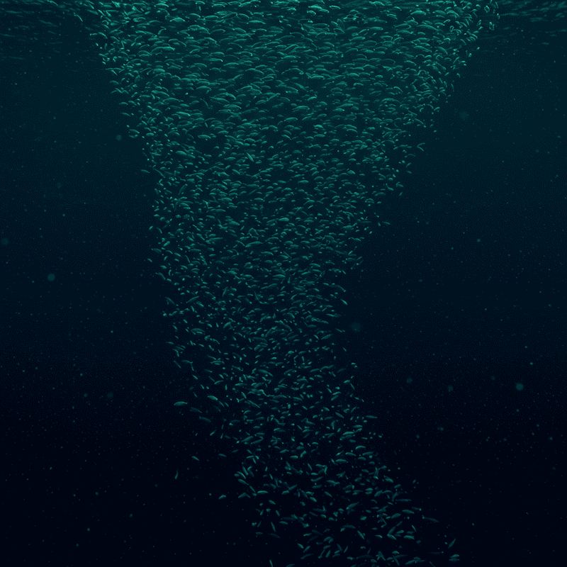The Ocean&#8217;s Greatest Migration Happens Every Night: Trillions of Animals Travel Vertically