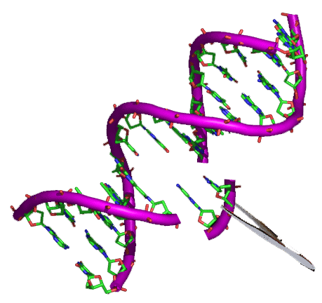 15 Recent Studies That Could Lead to Cures in the Next Decade