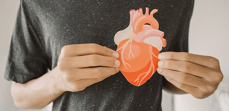 Scientists Discovered a &#8220;Second Brain&#8221; in Your Heart—And It Remembers Everything