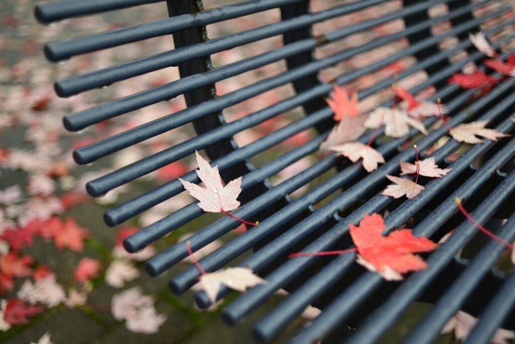 The Medication Timing Discovery That Could Change How Seniors Take Pills