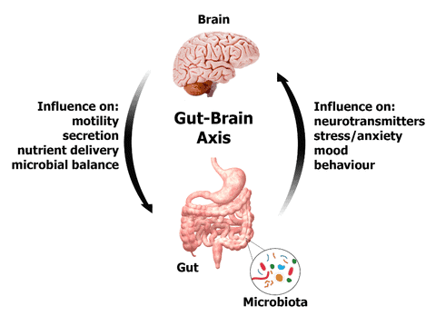 Your Gut Bacteria Might Be Controlling Your Depression &#8211; New Research Find