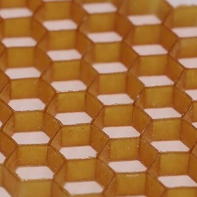 15 Strange but True Discoveries From Cutting-Edge Research Labs