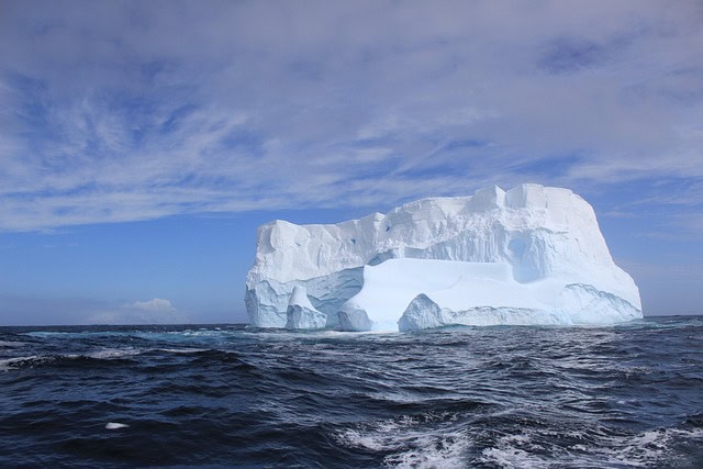 Breaking Ice: Revolutionary Discoveries Reveal Antarctica&#8217;s Hidden Biological Treasures
