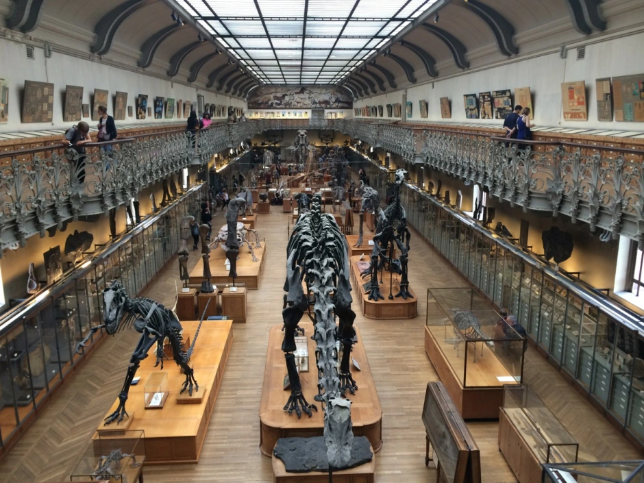 The 289-Million-Year-Old Skin That Rewrites Evolution History