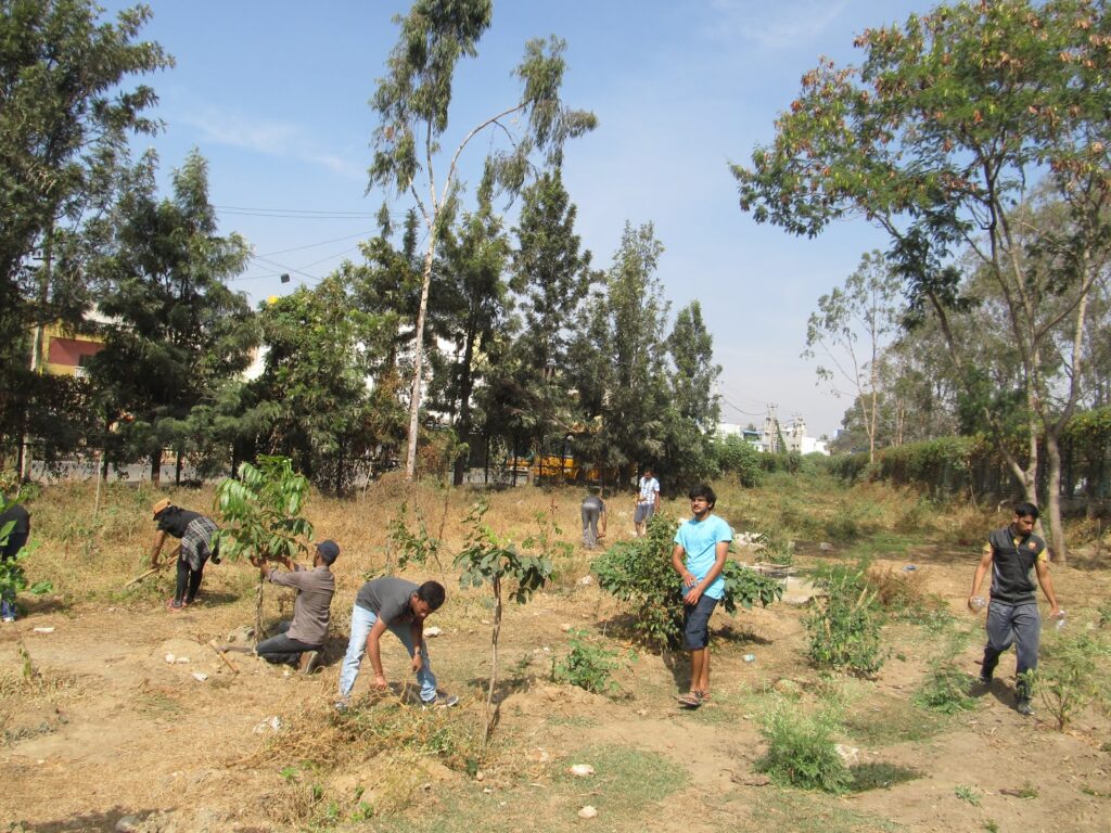 The Climate Solution Hiding in Plain Sight: Trees That Eat CO2 and Poop Out Rocks