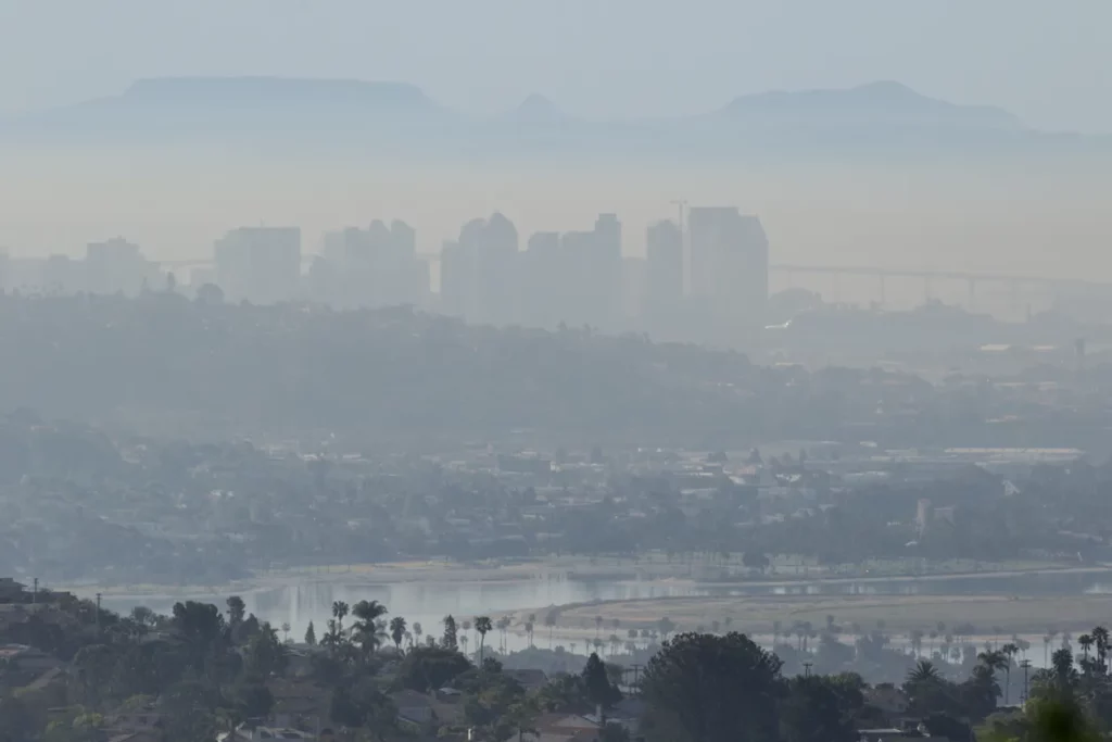 Forest Apocalypse: Why 2025&#8217;s Deforestation Crisis Threatens Human Civilization