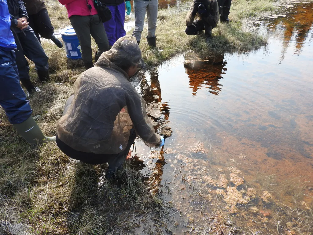 Arctic Gold Rush: Mapping the Polar Region&#8217;s Untapped Resources and Scientific Secrets