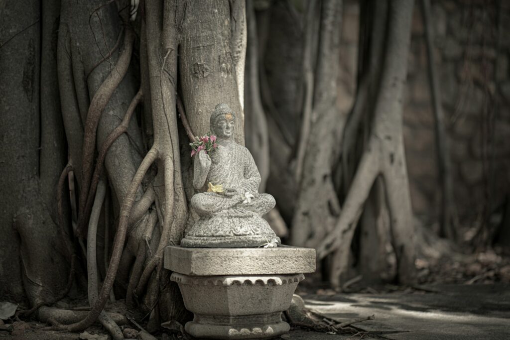 The Tree That&#8217;s Been Sending Secret Messages for 500 Years