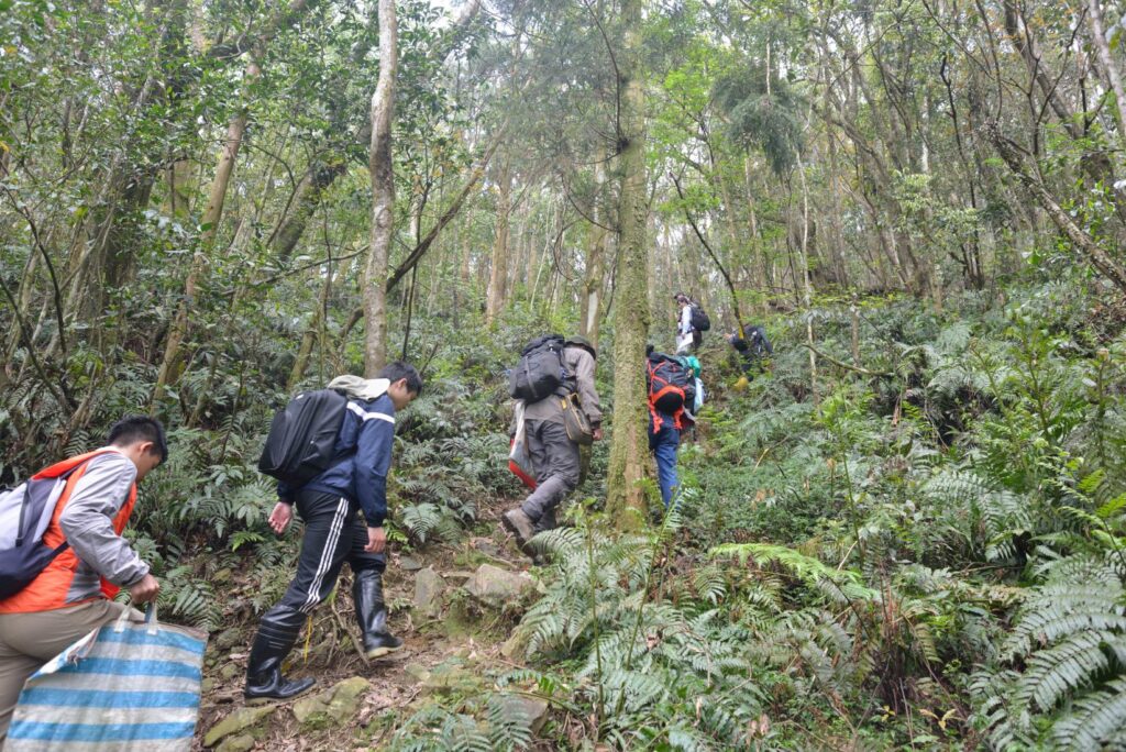 Forbidden Colors for Bugs? These Mediterranean Rebels Spot Red Anyway.