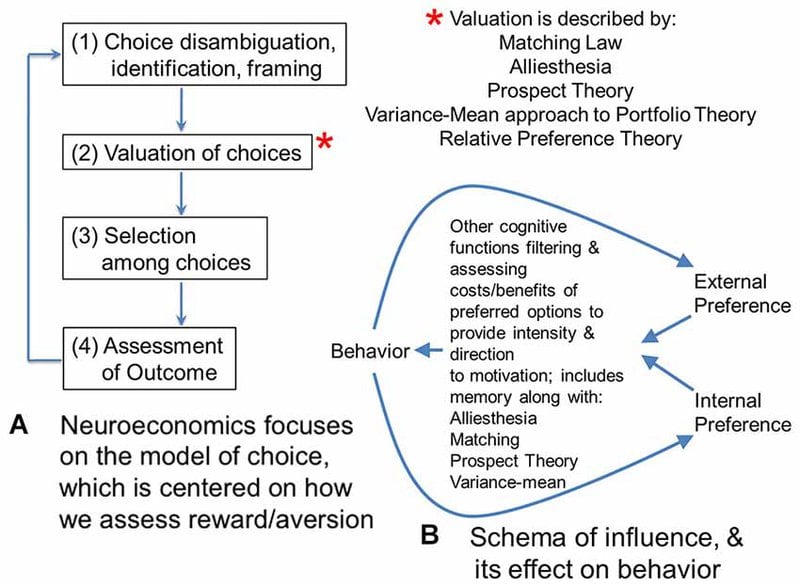 The Free Will Illusion: How Your Brain Tricks You Into Thinking You&#8217;re Making Choices