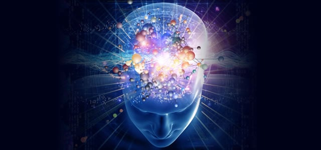 30 Fascinating Insights from Twin Studies: Unraveling the Nature vs. Nurture Debate