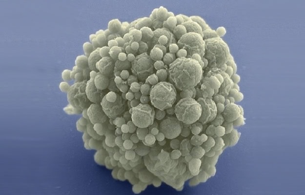 15 Times Scientists Made “Proto-Life” in a Lab