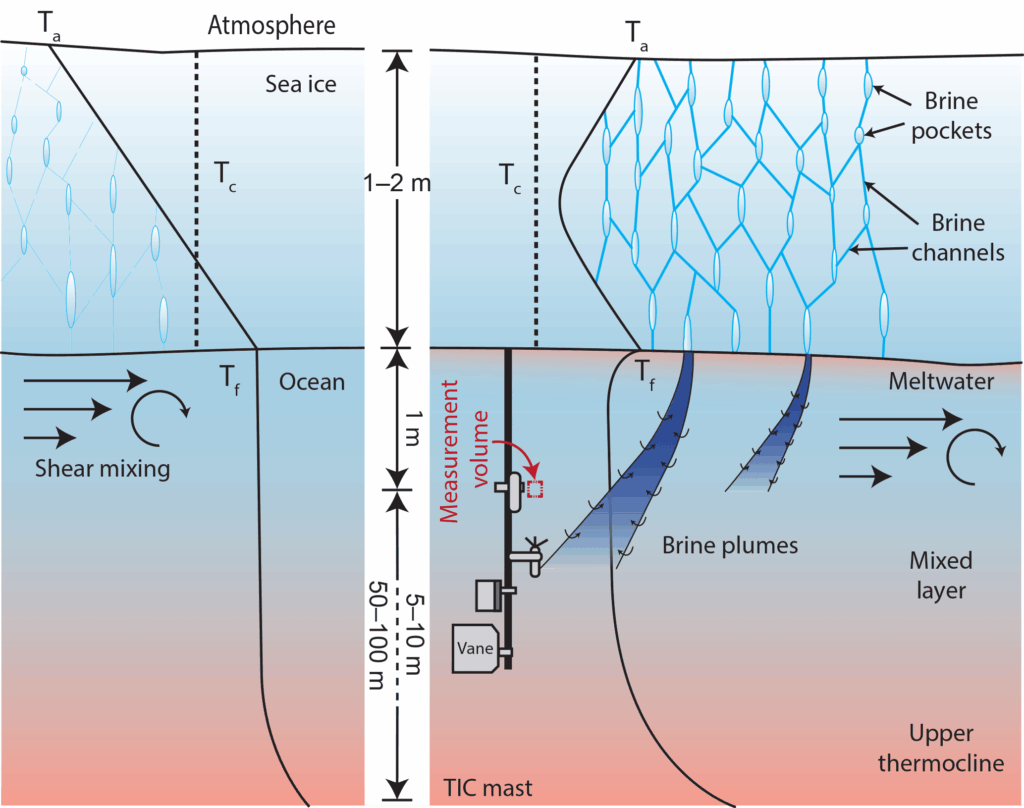 Antarctica Is Bleeding Red—And It&#8217;s Not What Climate Scientists Expected