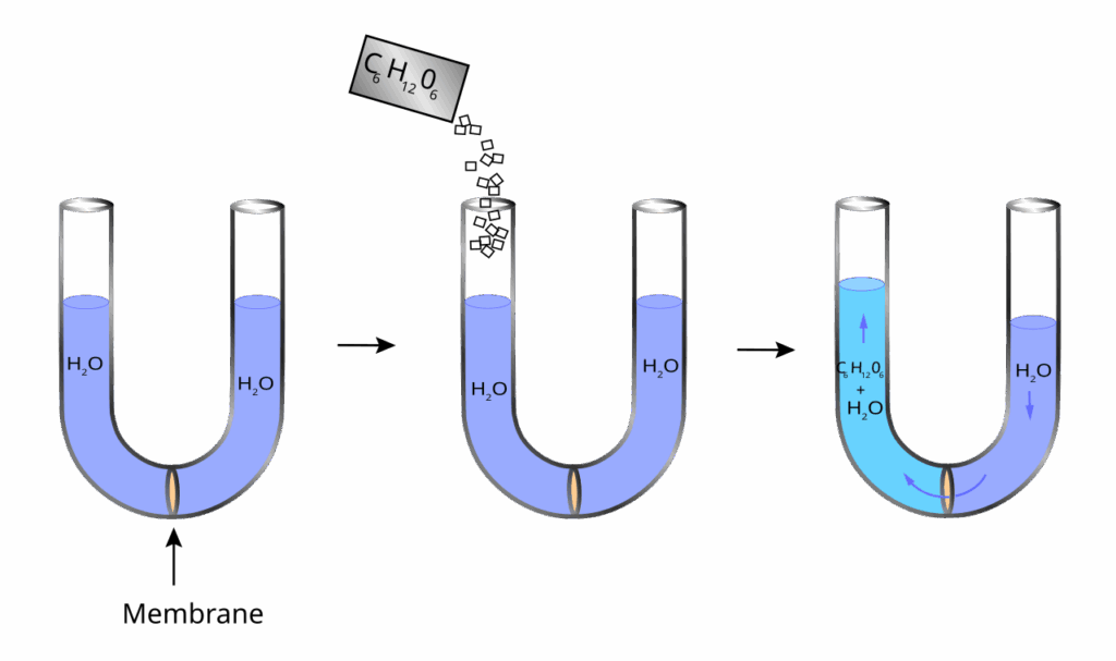 15 Times Scientists Made “Proto-Life” in a Lab