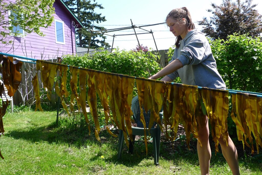 How Seaweed Farming Could Feed the World After Nuclear War