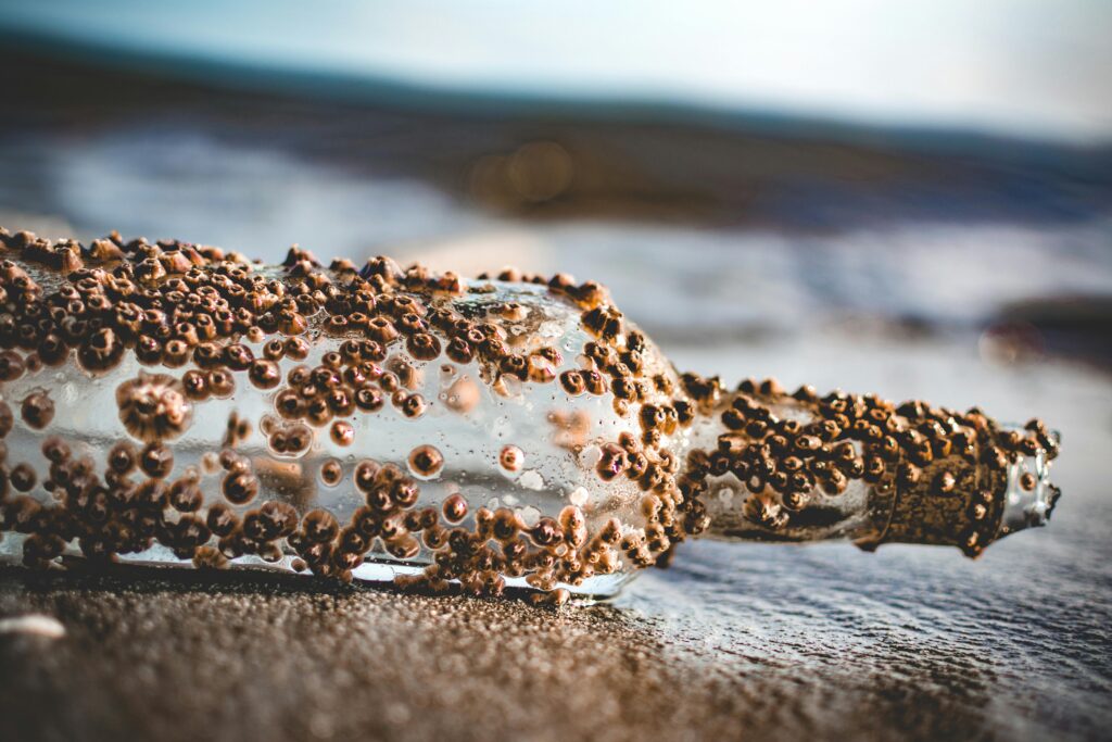 The Darwin Experiments You Never Learned About in School