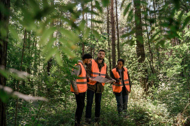 Ancient Amazonians Built 6,000 Connected Platforms &#8211; Lost Civilization Found