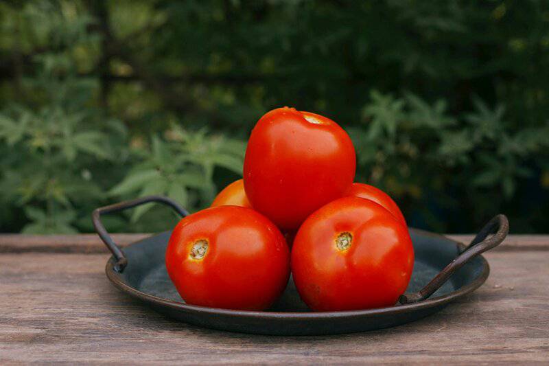 15 Foods That Act Like Medicine—Backed by Actual Science