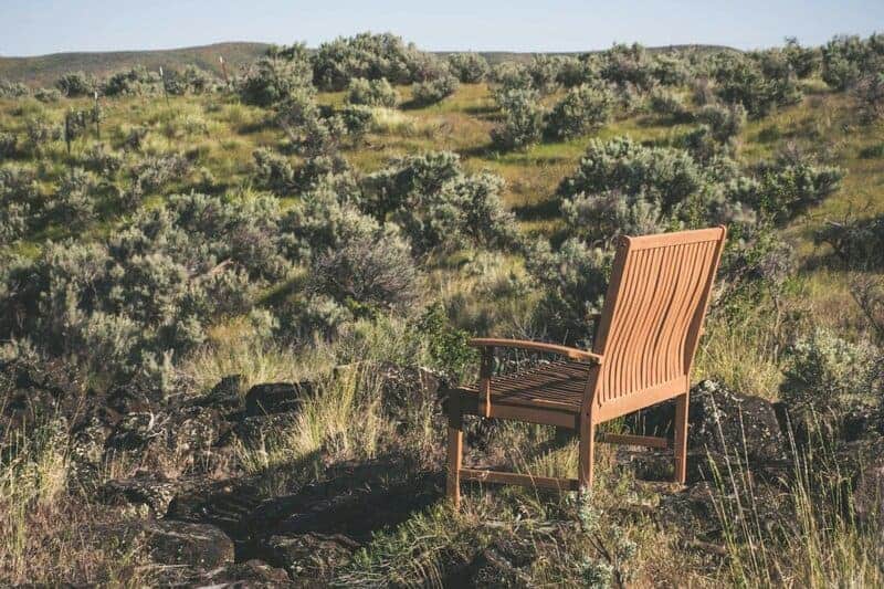 24 Plants Waging Chemical Wars You Never Knew Were Happening