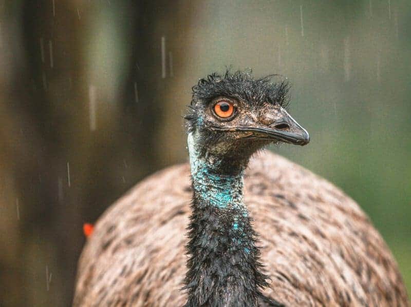 15 Times Nature Defied Science