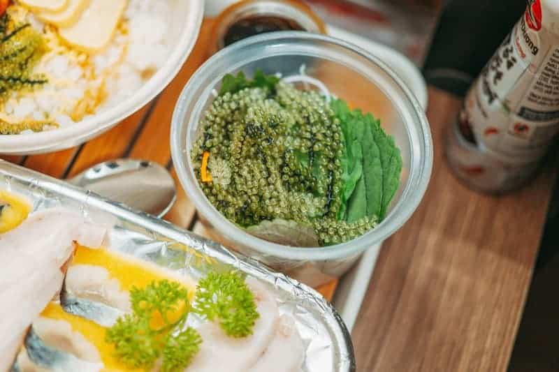 How Seaweed Farming Could Feed the World After Nuclear War