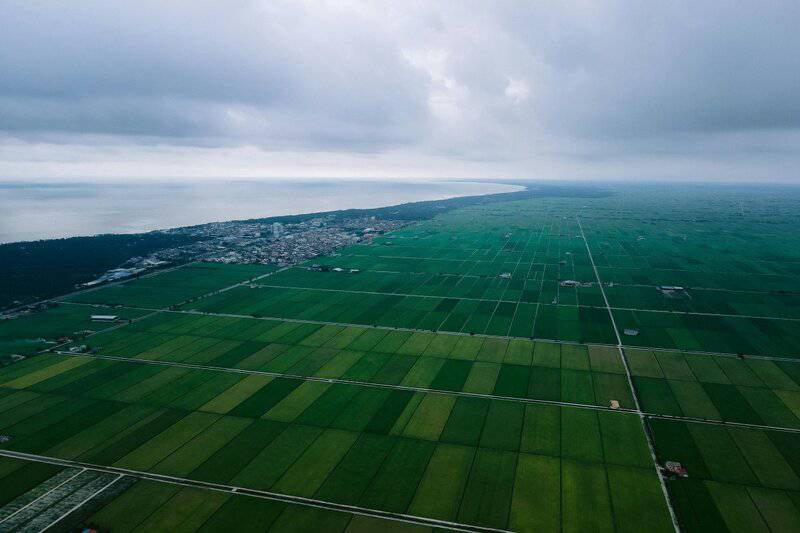 How Seaweed Farming Could Feed the World After Nuclear War