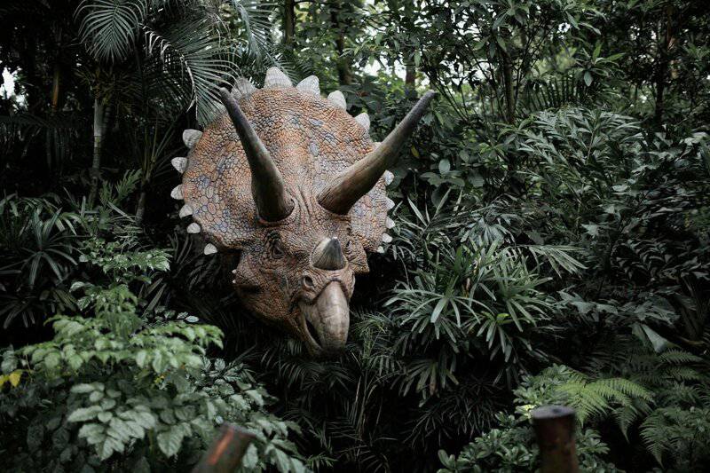 Marine Biologists Discover 60,000-Year-Old Underwater Forest Off Alabama Coast