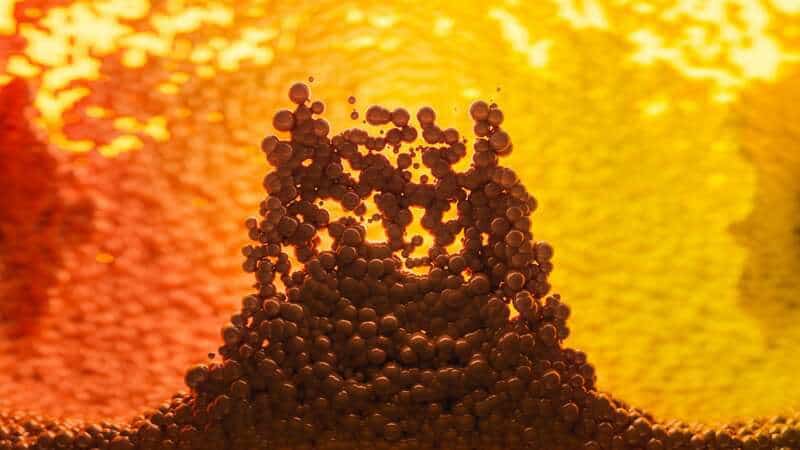 Sea Cucumbers Contain Unique Sugar That Blocks Cancer-Spreading Enzyme Sulf-2