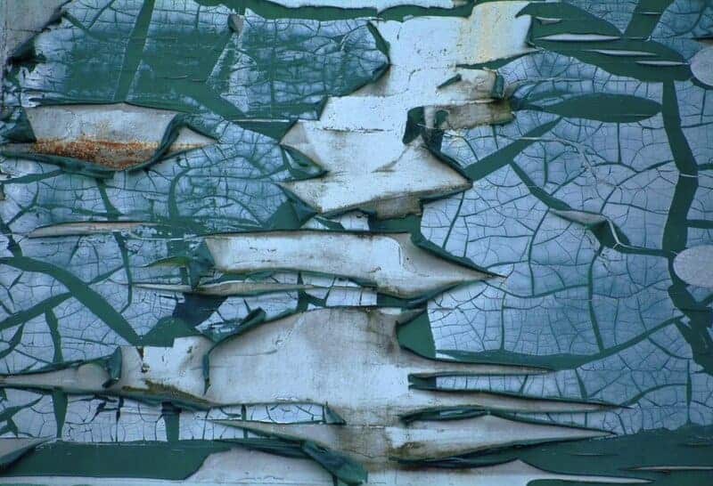 The Mississippi River Dried Up and Revealed Environmental Horrors Nobody Was Prepared For