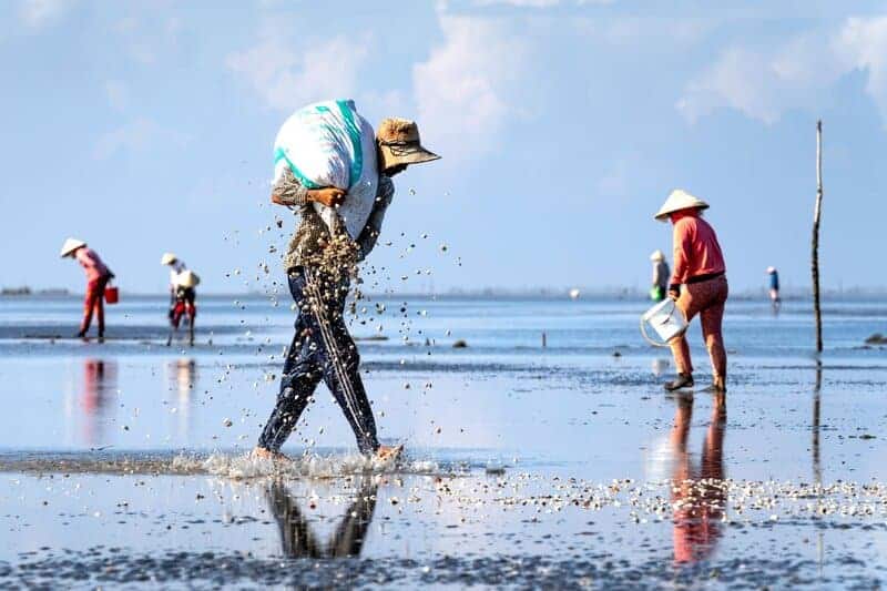 How Seaweed Farming Could Feed the World After Nuclear War