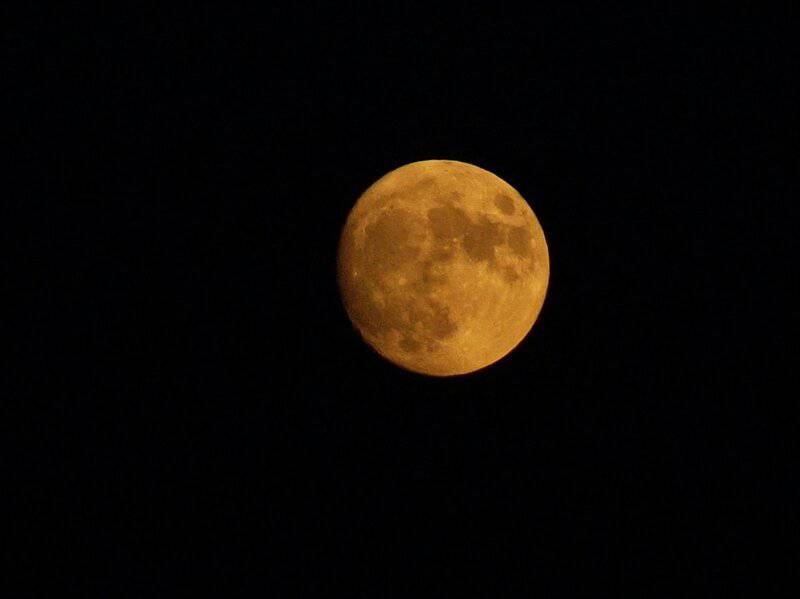 This Super-Earth 137 Light-Years Away Could Harbor Life