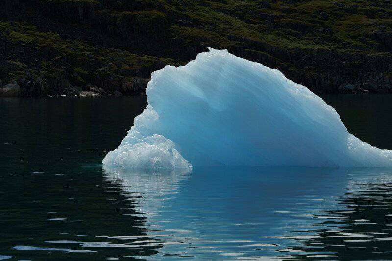 Marine Biologists Discover 60,000-Year-Old Underwater Forest Off Alabama Coast