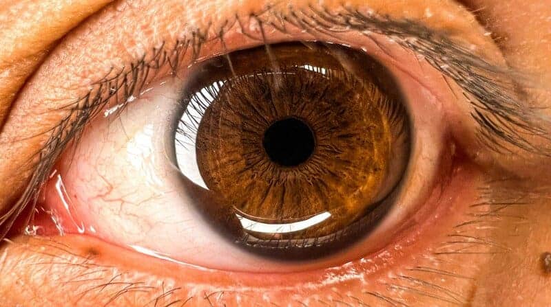 How Blue Light From Screens Affects Aging Eyes Differently Than Young Ones