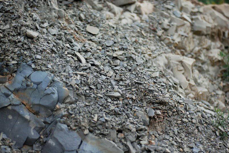 15 Crucial Elements That Made Life on Earth Possible