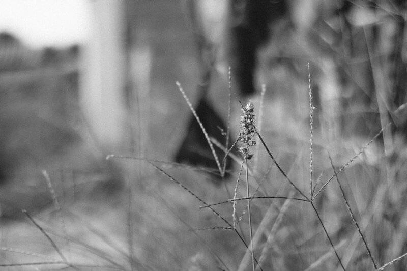 24 Plants Waging Chemical Wars You Never Knew Were Happening