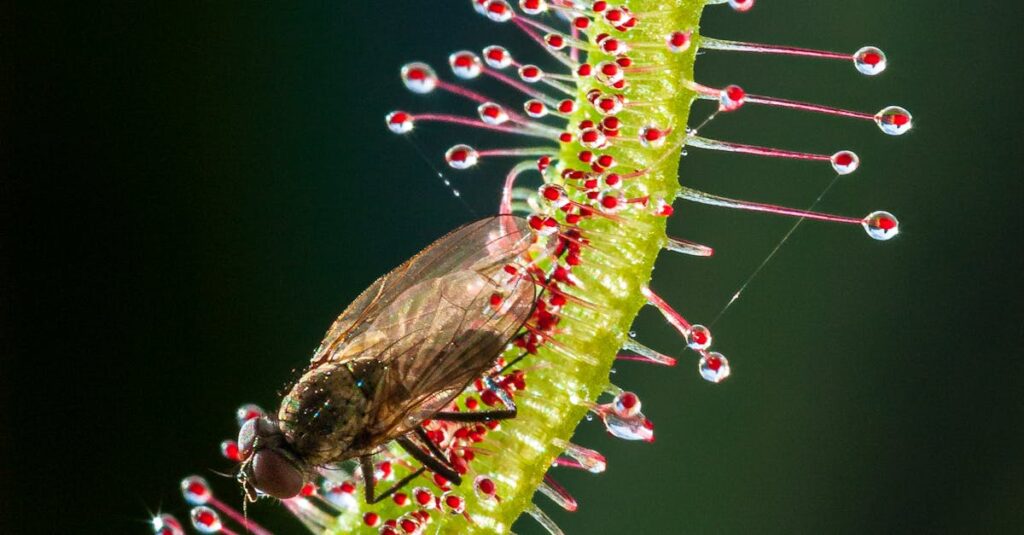 The Darwin Experiments You Never Learned About in School