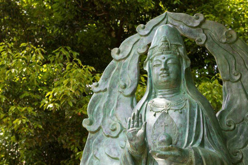 The 106-Acre Monster: How One Living Thing Became an Entire Forest