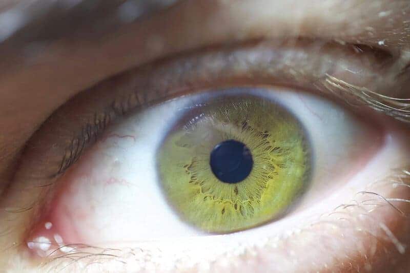 15 Real Consequences of Living on Mars Too Long