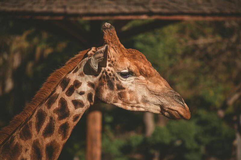 15 Hypotheses About Why We Haven’t Found Aliens Yet