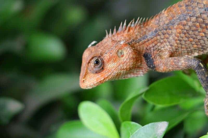 20 Ways We Know God Was Not The Origin Of All Life