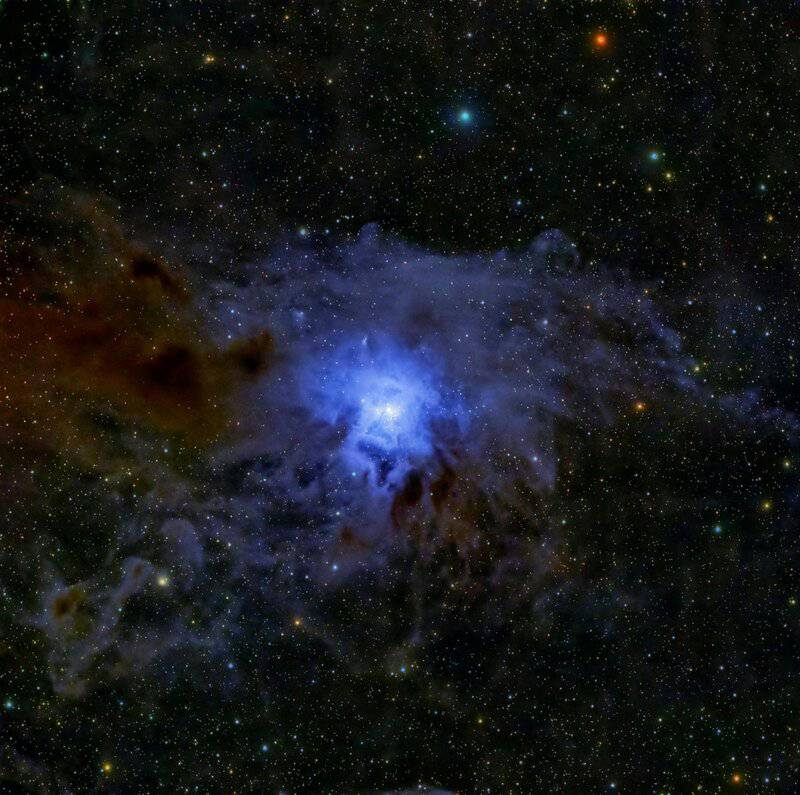 15 Crucial Elements That Made Life on Earth Possible