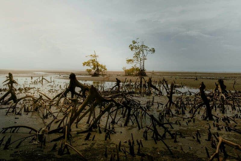 Why Sea Level Rise Is Accelerating Faster Than Expected