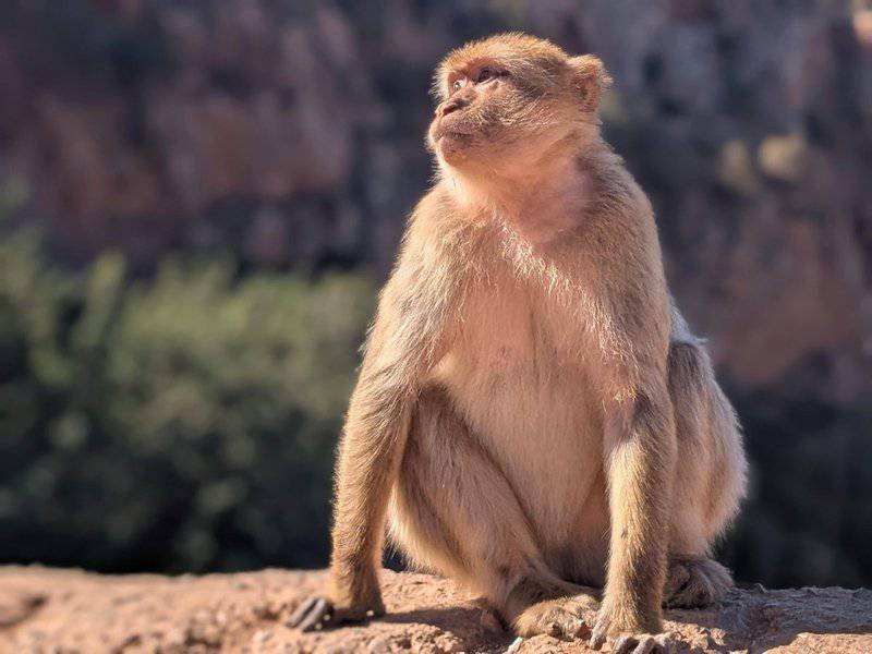 20 Ways We Know God Was Not The Origin Of All Life