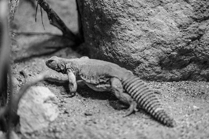 15 Evolution Mysteries That Still Baffle Scientists