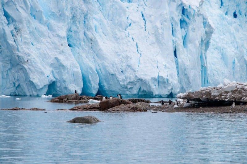 Antarctica Is Bleeding Red—And It&#8217;s Not What Climate Scientists Expected