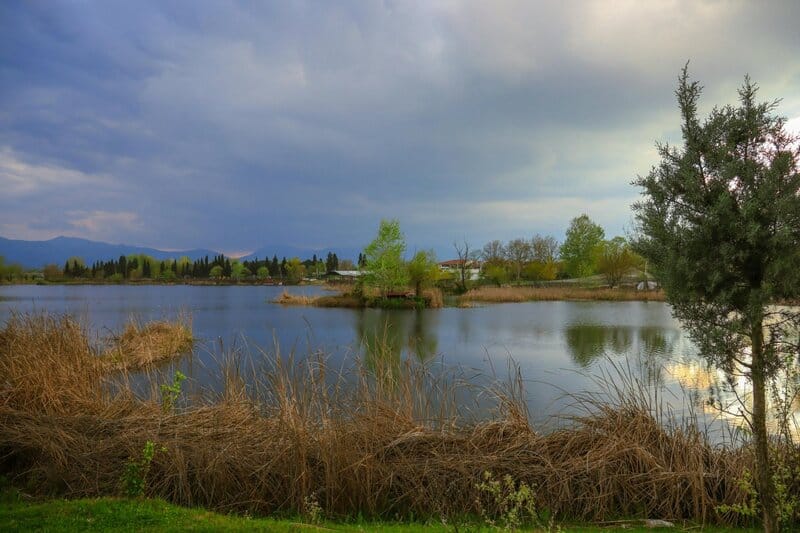 Should We Bring Back Extinct Species? What Science and Ethics Say