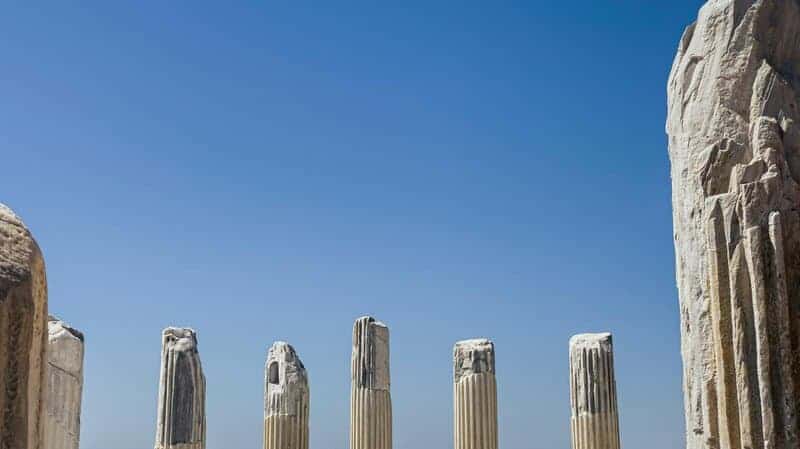 Archaeologists Discover 14,000-Year-Old Bread Remains That Predate Agriculture