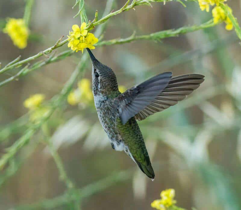 15 Evolution Mysteries That Still Baffle Scientists